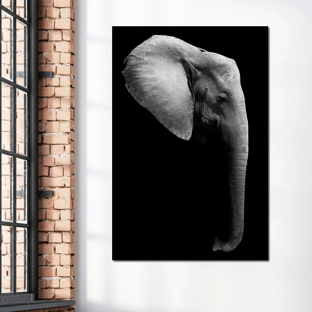 Black and White Elephant Head