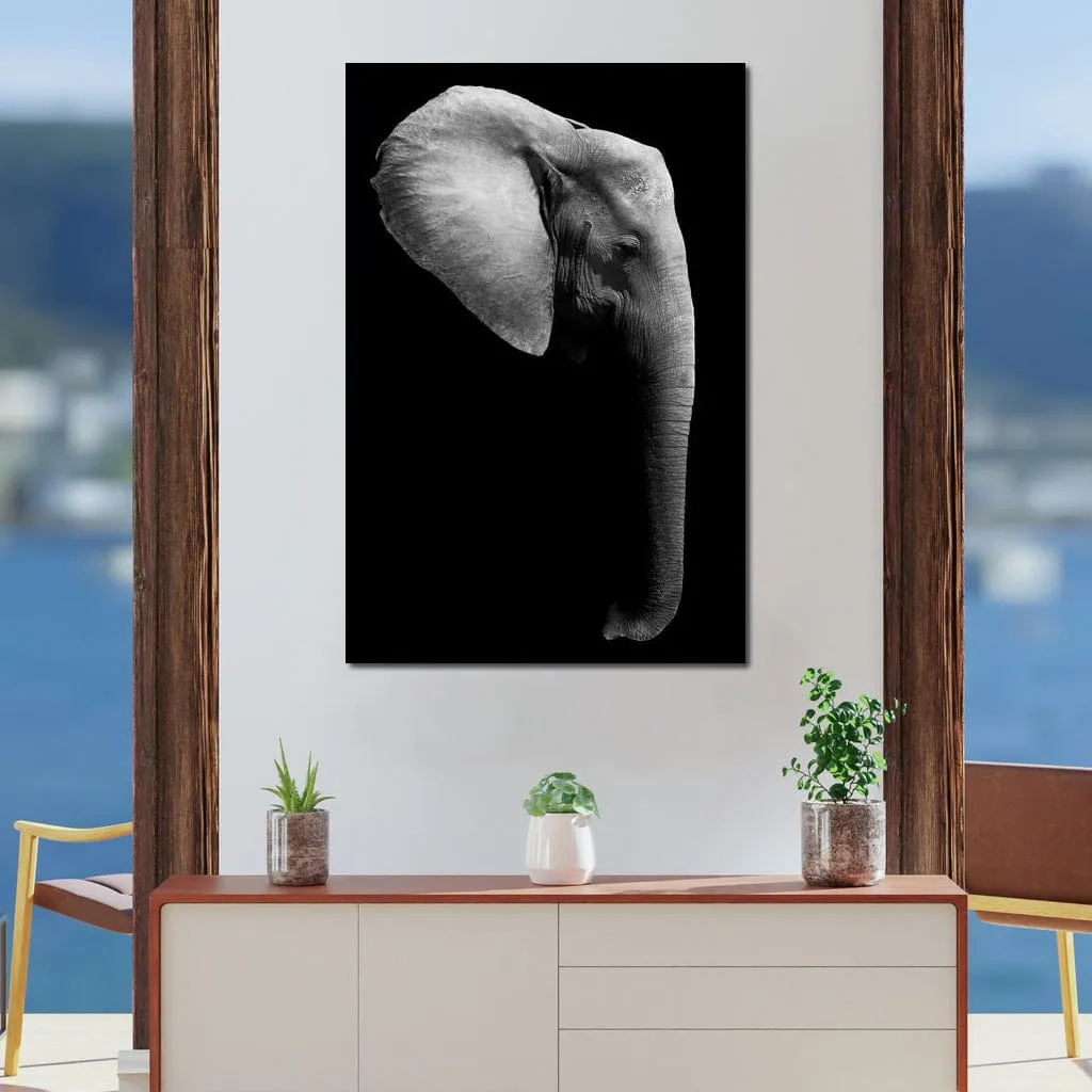 Black and White Elephant Head