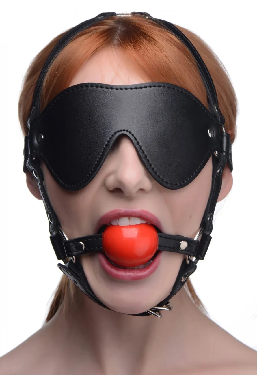 Blindfold Harness and Ball Gag (Red)