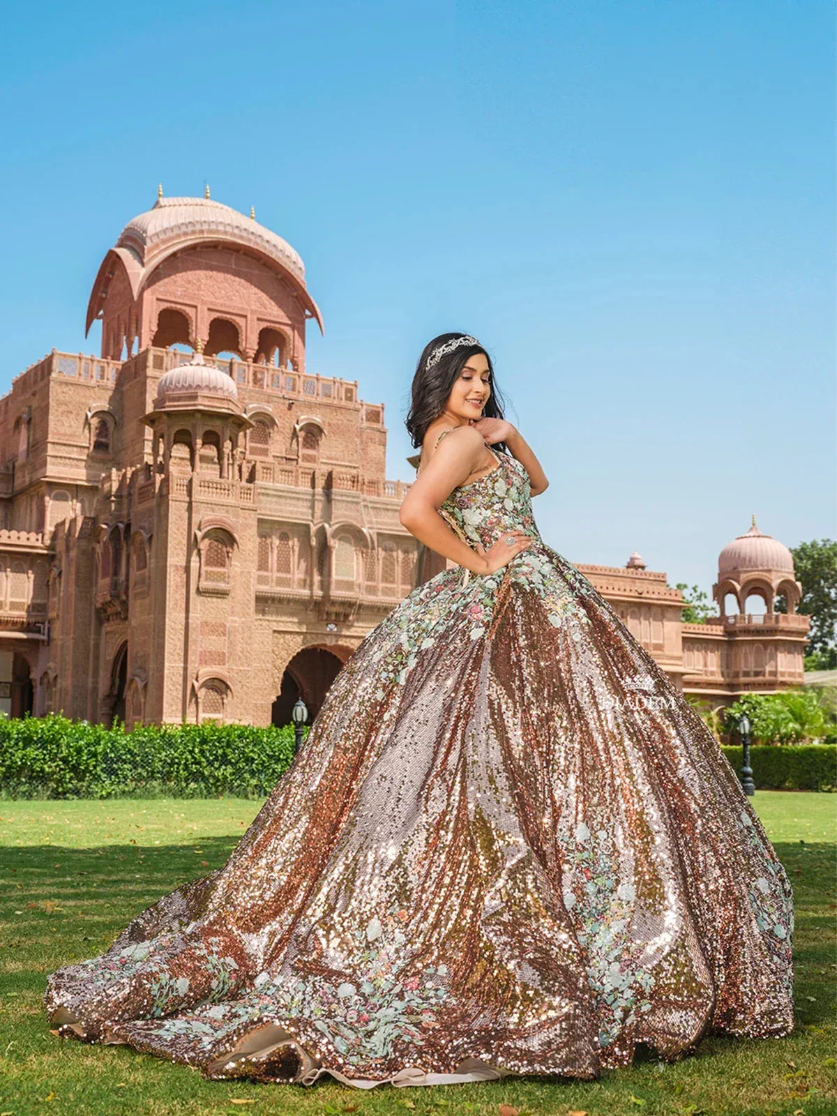 Brown Net Ball Gown Embellished with Sequins