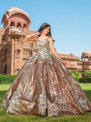 Brown Net Ball Gown Embellished with Sequins