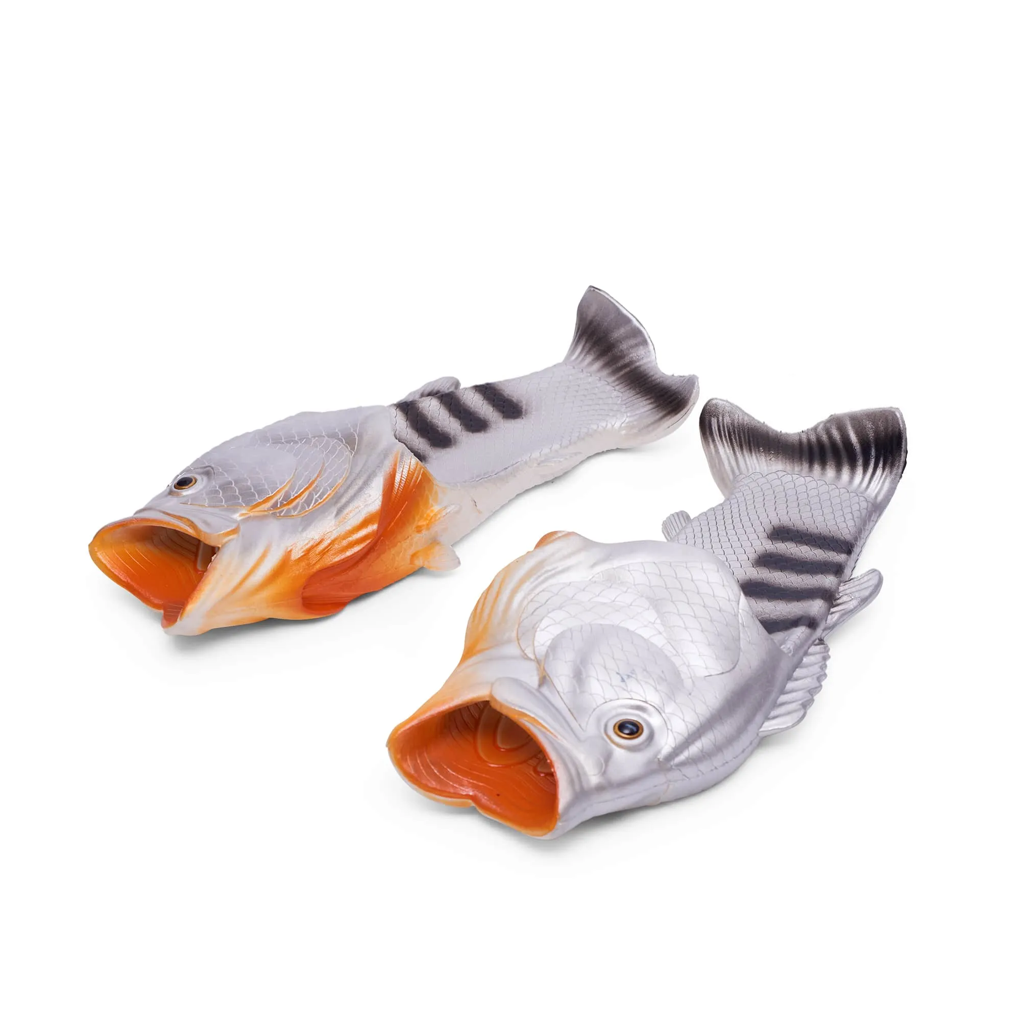 Coddies® Pearl Danio Flops