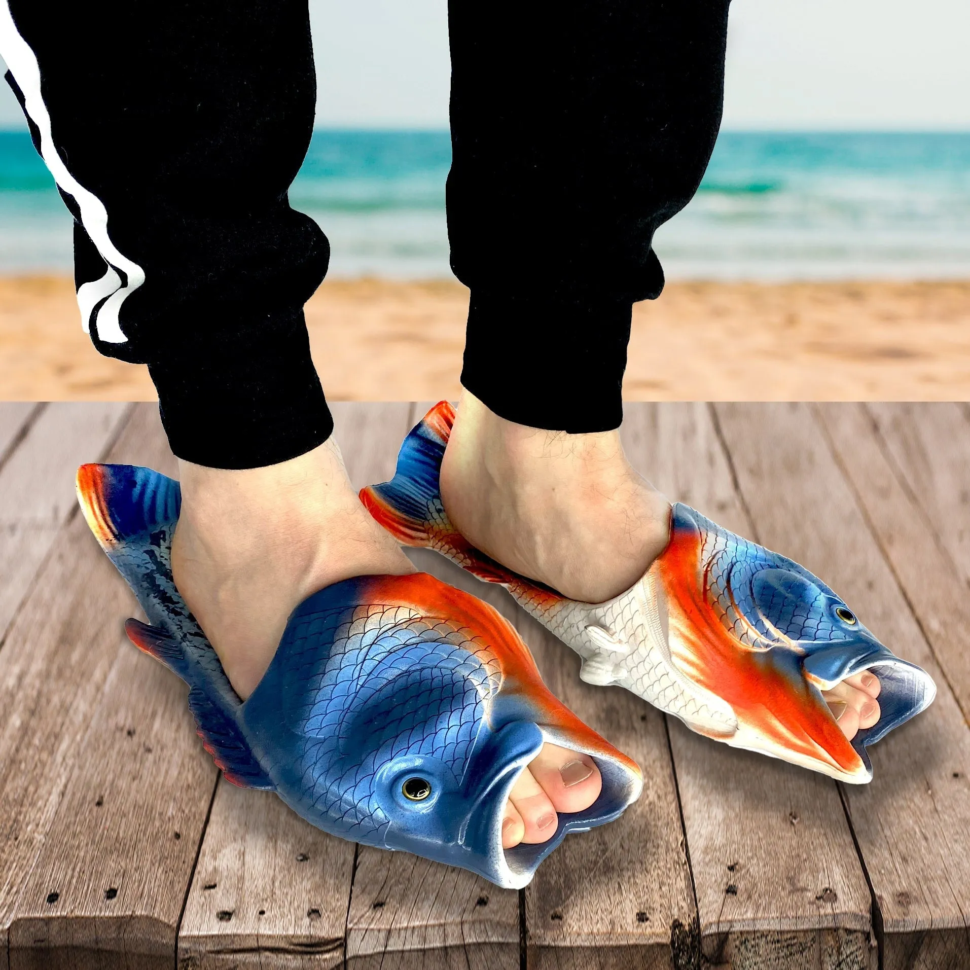 Coddies® Pearl Danio Flops