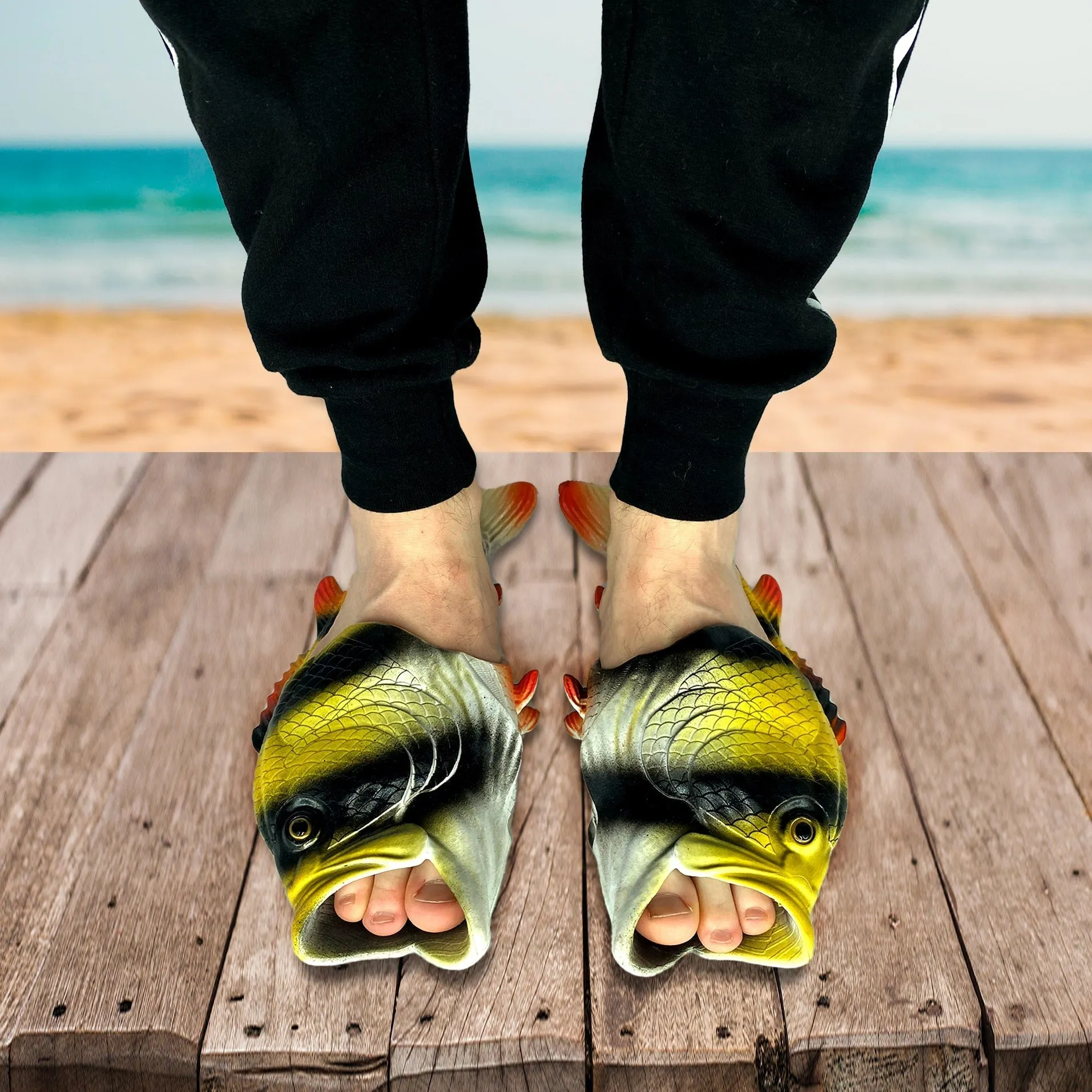 Coddies® Pearl Danio Flops