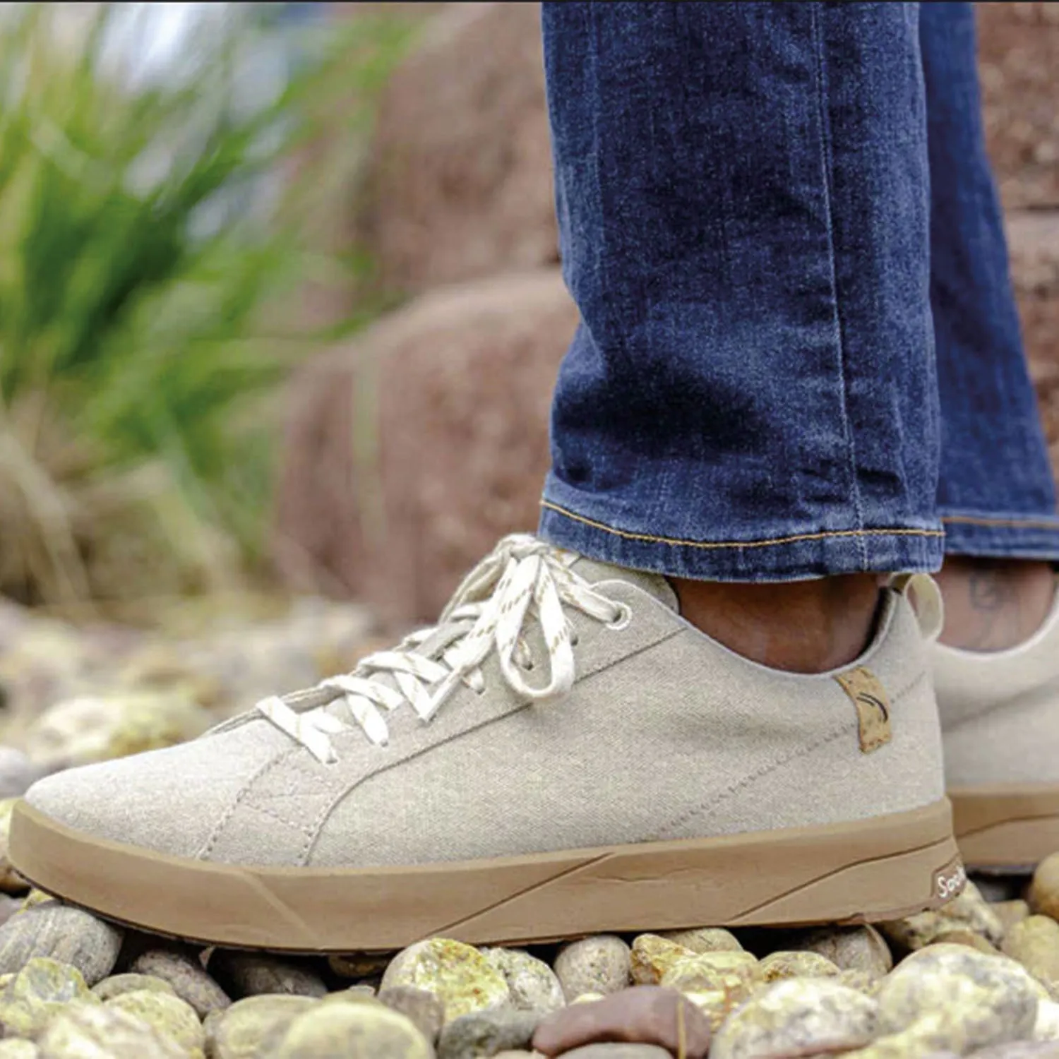 Men's Saola Cannon Dune Canvas