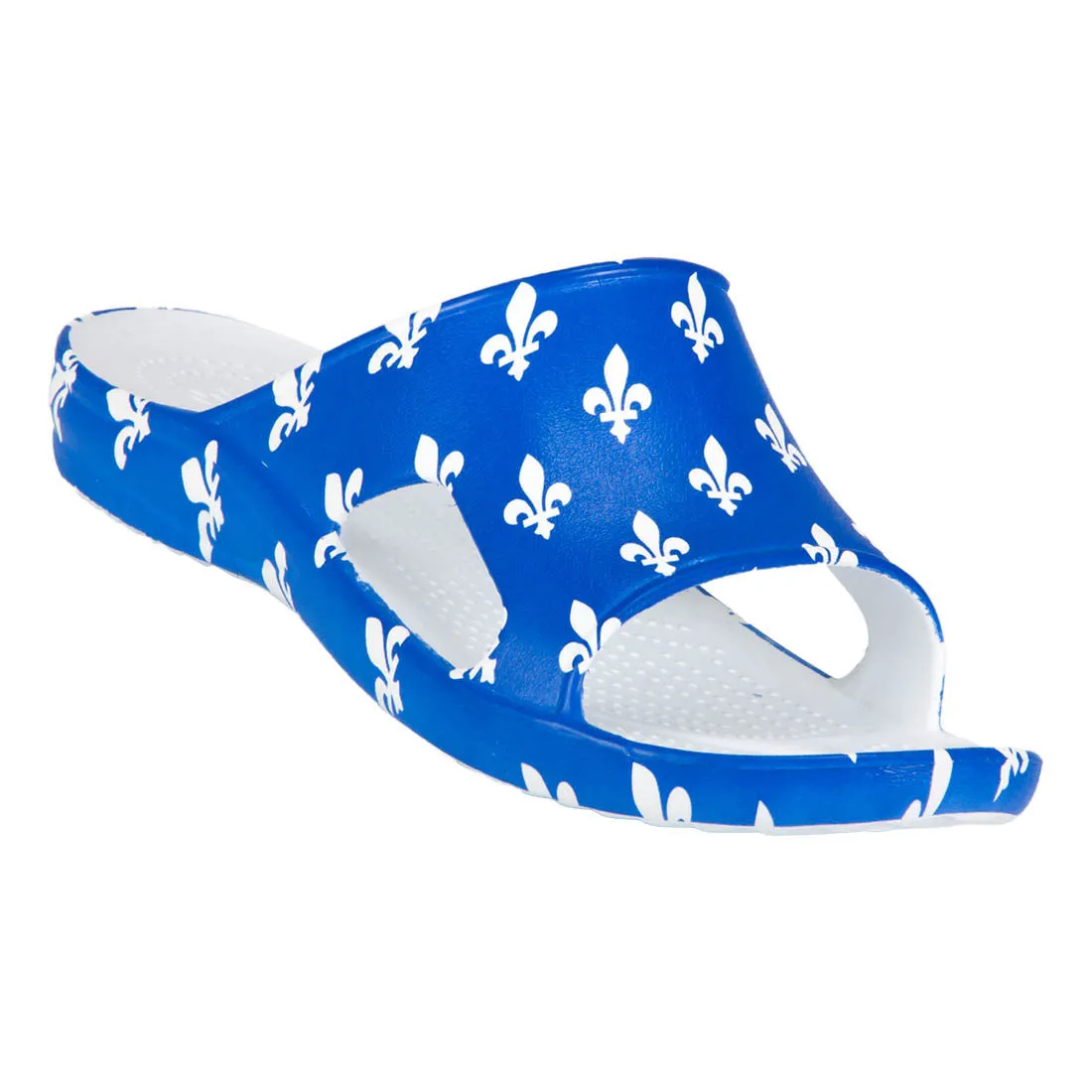 Men's Slides - Fleur De Lis