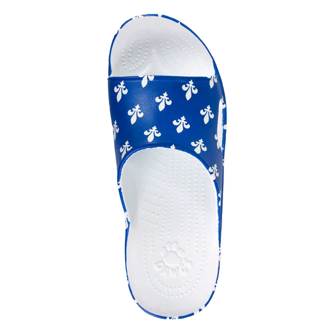 Men's Slides - Fleur De Lis