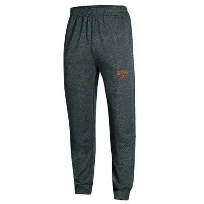 NCAA Minnesota Golden Gophers Men's Gray Athletic Jogger Pants - S