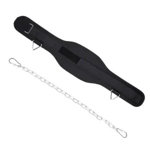 Pull Up Weighted Belt Lumbar Strength Training Double Bar Arm Extension Weighted Belt, Style: Paste 70cm Iron Chain 2 Hooks